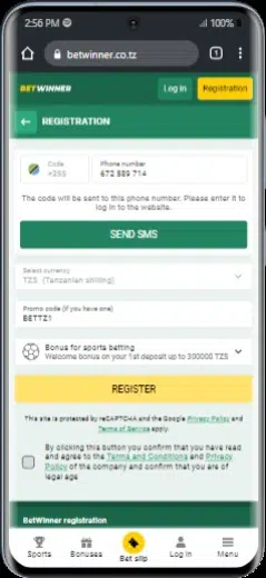 Promo Code BetWinner
